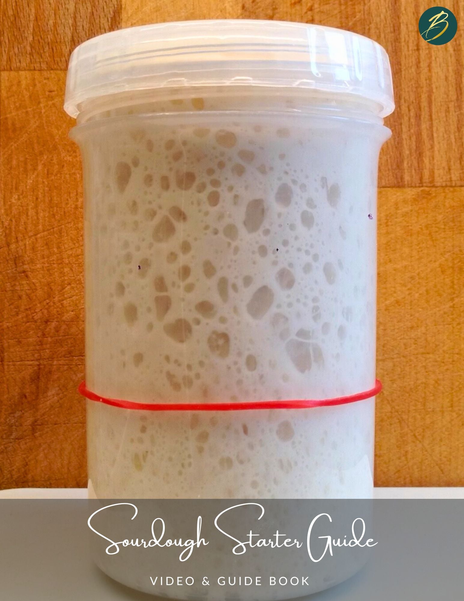 Sourdough Starter Guide - Video Tutorial