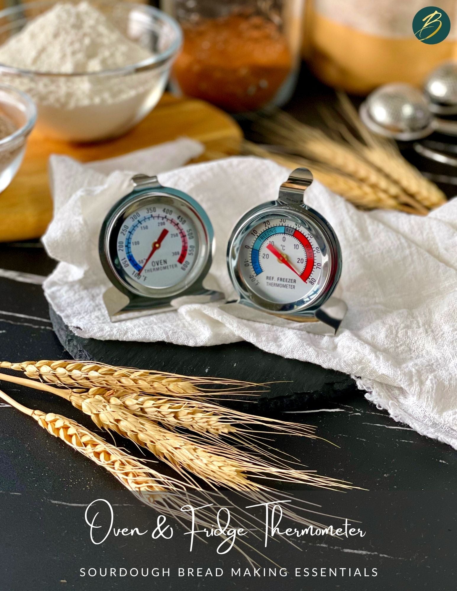oven and fridge thermometer 