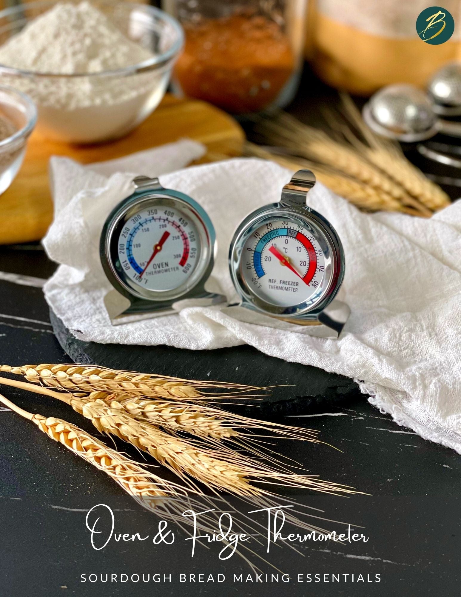 oven and fridge thermometer