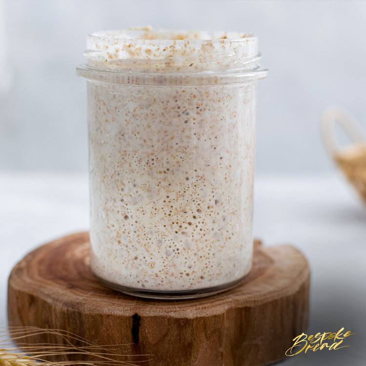 Glass jars with active sourdough starter fermenting for troubleshooting tips in warm climates