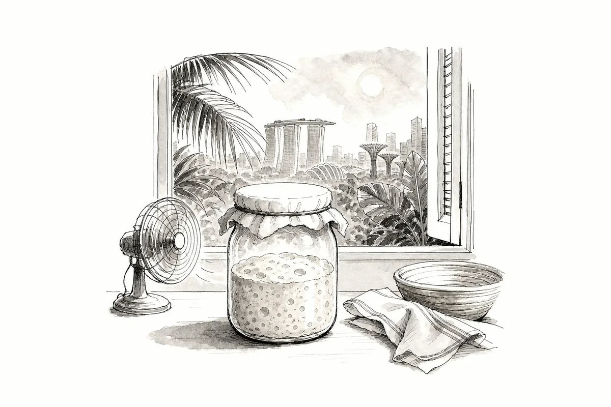 Sourdough starter in Singapore: a tropical survival guide