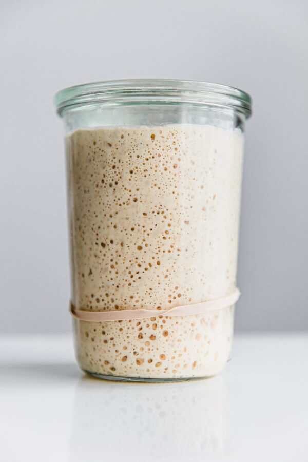 sourdough starter singapore
