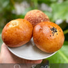 Japanese Bread Class Shokupan