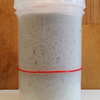 Plastic Sourdough Starter Jar