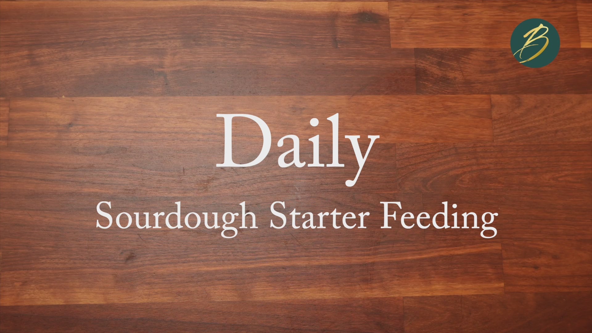 PART 2 DAILY SOURDOUGH STARTER FEEDING